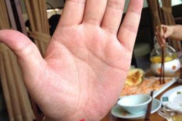 手腕小手掌大的命运解读：揭秘人生的秘密符号