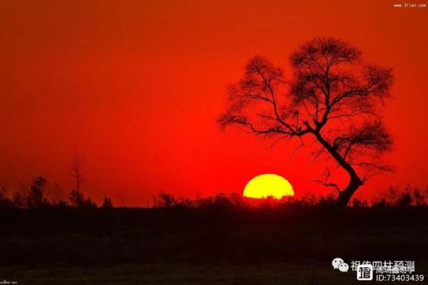 戊土命格解析:为何戊土被视为土命的灵魂所在? 戊土命格解析:为何戊土被视为土命的灵魂所在?