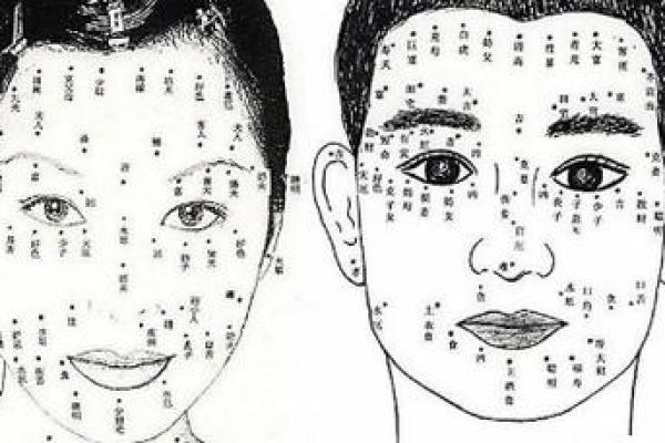 1980年正月十七出生命运解析与性格特征 1980年正月十七出生命运解析与性格特征