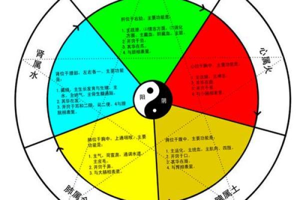 1958年出生的土命人：探寻命理与人生的奥秘