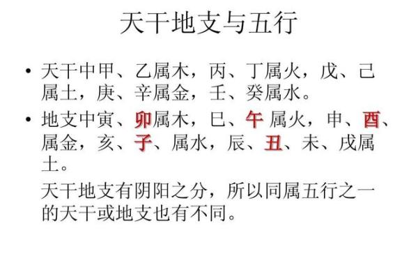 探索地支命与五行命的奥秘:让我们揭开命理的神秘面纱! 探索地支命与五行命的奥秘:让我们揭开命理的神秘面纱!