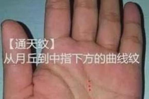 手掌与胳膊粗细：命运与人生的神秘联系