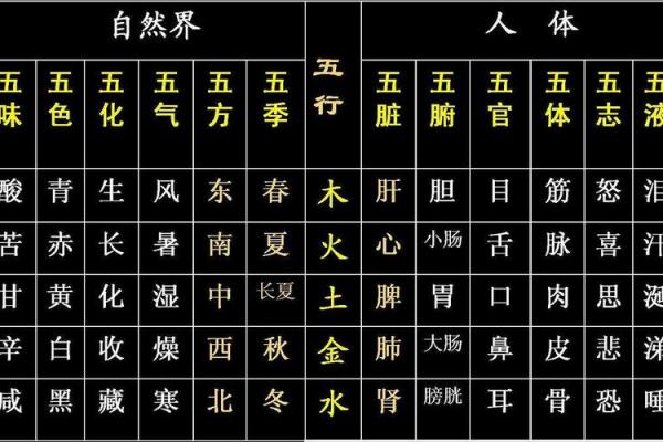 男木命男士最适合的女生类型分析与情感匹配指南