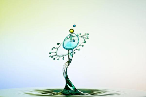 大林木命的饰品选择:提升气运,助你走向辉煌人生 大林木命的饰品选择:提升气运,助你走向辉煌人生