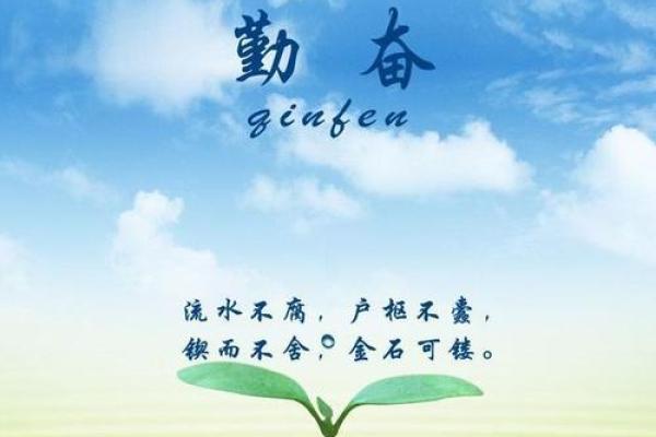 1985年属牛,命运之路与人生奋斗的启示 1985年属牛,命运之路与人生奋斗的启示