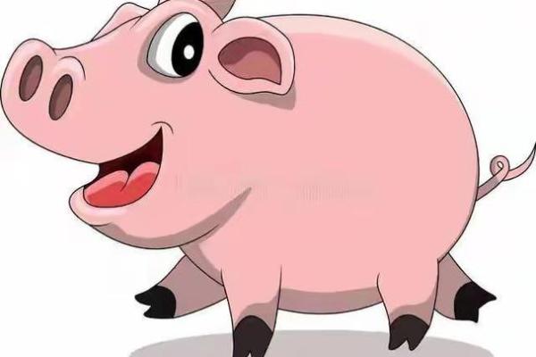 2021年属猪人的命运与运势揭秘,如何把握机遇,创造美好生活? 2021年属猪人的命运与运势揭秘,如何把握机遇,创造美好生活?