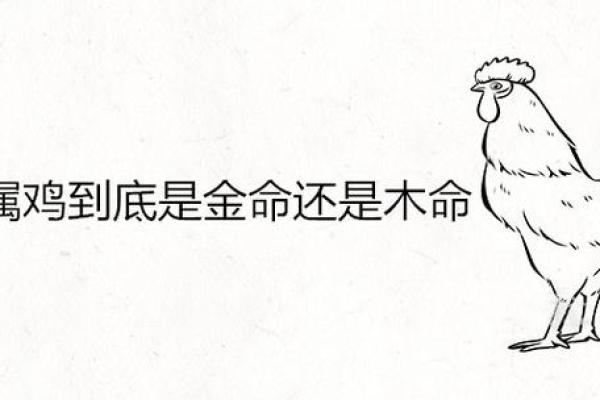 金命命重八钱的深层含义与生活启示 金命命重八钱的深层含义与生活启示