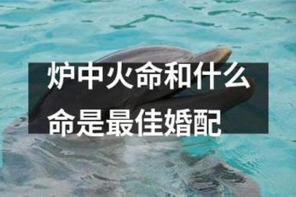 炉中火命的旺运之道:佩戴这些最为灵验 炉中火命的旺运之道:佩戴这些最为灵验