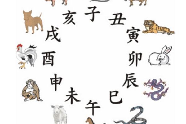 2023年属鼠人的命运与运势全面解析 2023年属鼠人的命运与运势全面解析