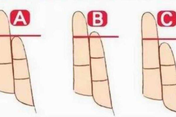 解密2003年出生命格的独特特点与运势展望 解密2003年出生命格的独特特点与运势展望