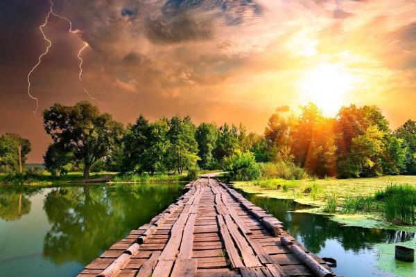 1972年属鼠,命中注定的财富与智慧之旅 1972年属鼠,命中注定的财富与智慧之旅