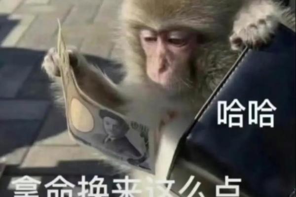 44年是什么命，命缺什么，了解你的命运之路！