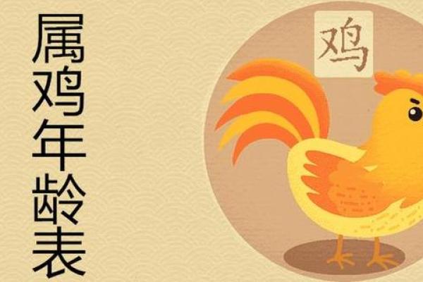 47岁的人在2023年属什么命？解密命理与人生之道！