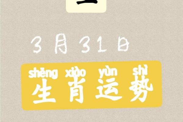 水鼠命里缺什么？揭秘生肖水鼠的命理与运势