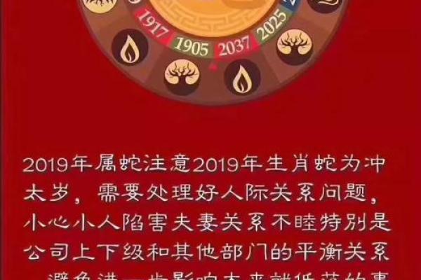 1947年属猪女的命运与人生智慧分享