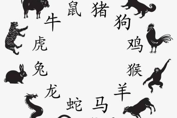 31岁属什么生肖与命理解析，揭示你的命运之旅