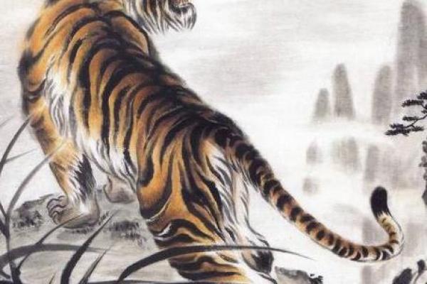 31岁属什么生肖与命理解析，揭示你的命运之旅