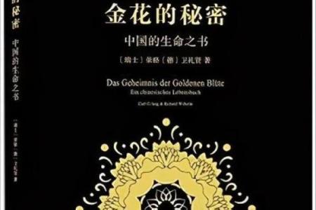 如何通过出生年份揭示你的命运之道？