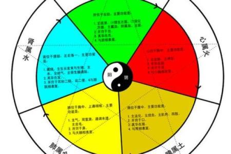 1958年出生的土命人：探寻命理与人生的奥秘