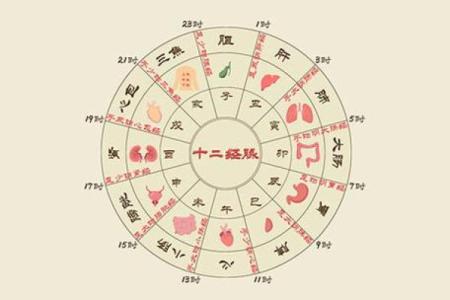 揭密2018属狗卯时的命运：生肖与时辰的奥秘解析