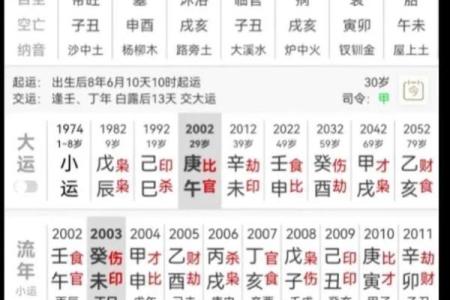 甲寅与甲申命理解析：运势、性格与人生轨迹的深度剖析