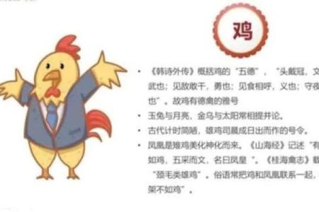 1996年出生的男孩命运解析：从生肖与五行看人生旅程