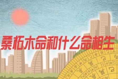 癸丑日生人的命运解析：探寻壬申日的神秘力量与影响