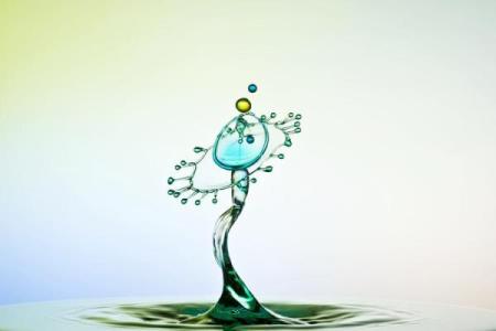 大林木命的饰品选择：提升气运，助你走向辉煌人生