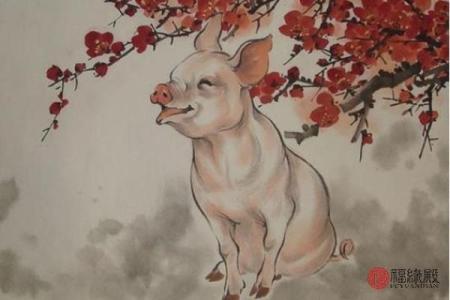 1971年女猪的命运与生活智慧探讨