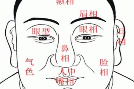 1999年出生的命理分析：缺什么？如何弥补？