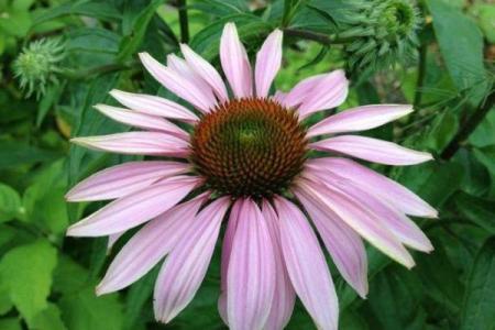 94年火命者的忌讳与生活诀窍：让你运势通畅，步步高升！