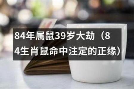 1972年属鼠，命中注定的财富与智慧之旅