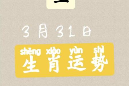 水鼠命里缺什么？揭秘生肖水鼠的命理与运势