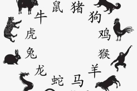 31岁属什么生肖与命理解析，揭示你的命运之旅