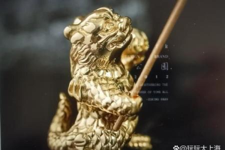揭秘金龙命与属相的完美配对，让你的命运更加辉煌！