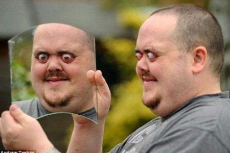 靠鼻子吃饭：寻找生活的另一种可能性与意义