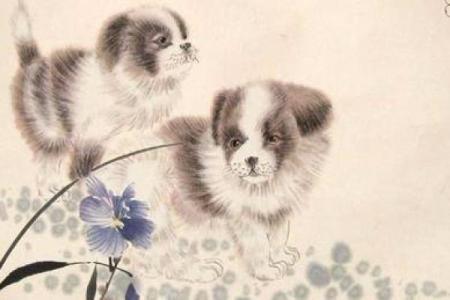 82属狗女2018年的命运与生活：爱、事业与财富三重奏的探讨