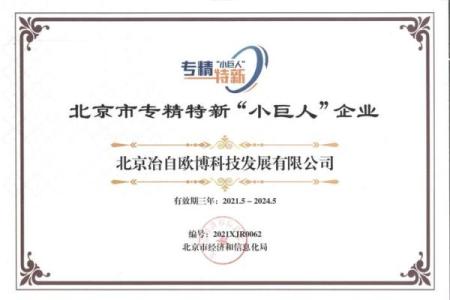 出门发展适合什么命：探寻个人运势与职业路径的奥秘