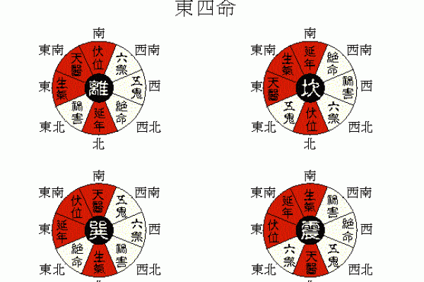 解密乾命：西四命的优势与挑战，为何有人认为不好？