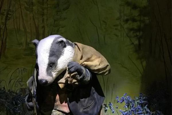 199兔年出生的命运与性格特点探秘