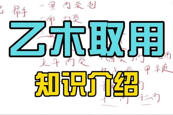 乙未年:探索乙木与未土的命理之旅 乙未年:探索乙木与未土的命理之旅