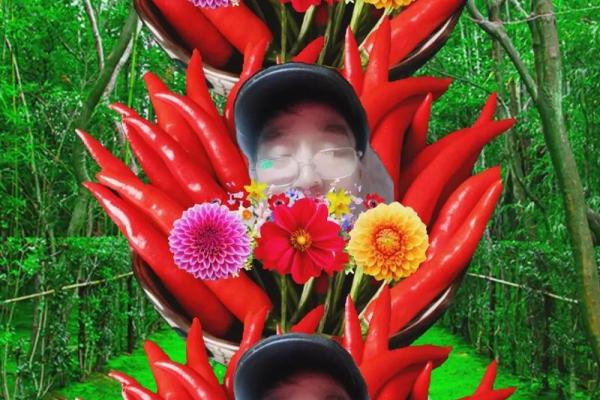 南瓜的命运:解密南瓜在文化与生活中的深刻象征 南瓜的命运:解密南瓜在文化与生活中的深刻象征