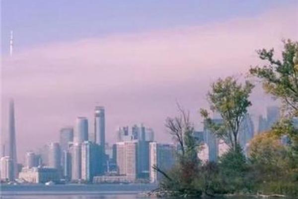 水牛是什么命?如何选择吉利楼层助你旺运 水牛是什么命?如何选择吉利楼层助你旺运