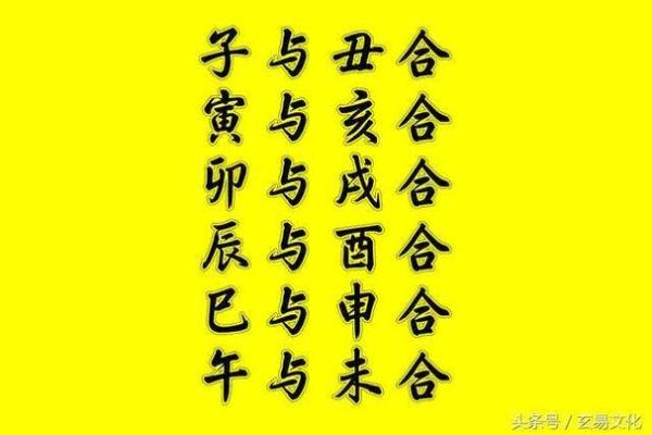 男命与女命大运相合的深层含义与影响解析 男命与女命大运相合的深层含义与影响解析