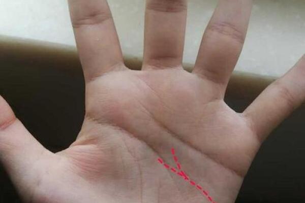 揭秘男命最佳配偶,给你一个幸福人生的选择! 揭秘男命最佳配偶,给你一个幸福人生的选择!