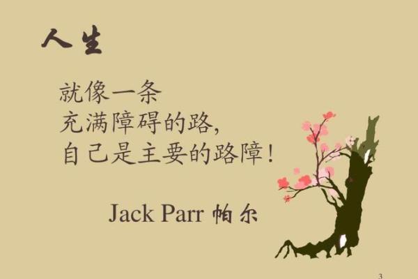 揭开庚子时命运之谜:他们的人生轨迹与性格特征探析 揭开庚子时命运之谜:他们的人生轨迹与性格特征探析