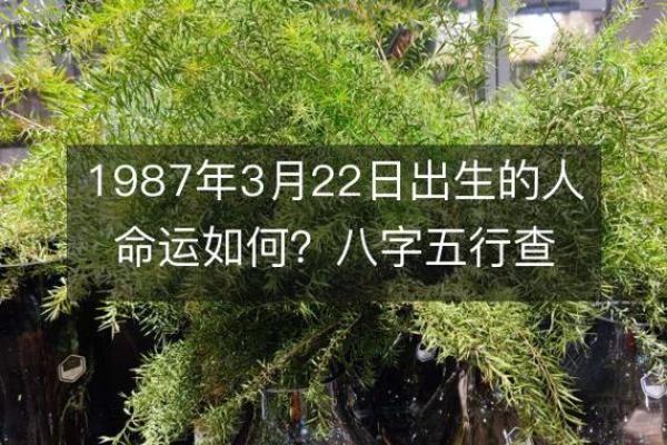 87炉中火命缺什么:了解五行与命理的深奥之道 87炉中火命缺什么:了解五行与命理的深奥之道