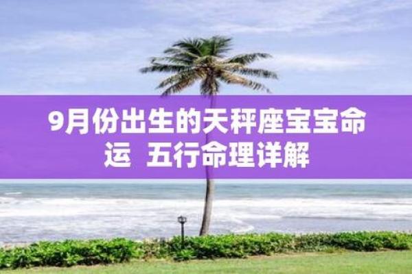 揭秘宝宝命理:如何通过命理分析提升宝宝未来潜力 揭秘宝宝命理:如何通过命理分析提升宝宝未来潜力