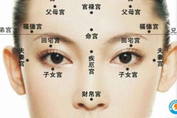 看相之道:通过面相解读你的命运与人生之路 看相之道:通过面相解读你的命运与人生之路