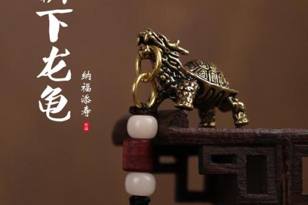 水命人士必看:养乌龟招财的秘诀与技巧! 水命人士必看:养乌龟招财的秘诀与技巧!